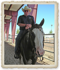 Testimonials Light Rein Horses