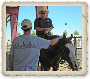 Rider Lessons in Phoenix Aream