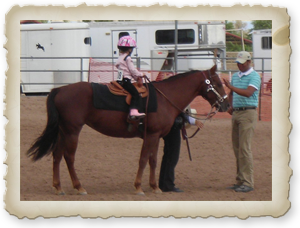 Winners Circle Light Rein Horses