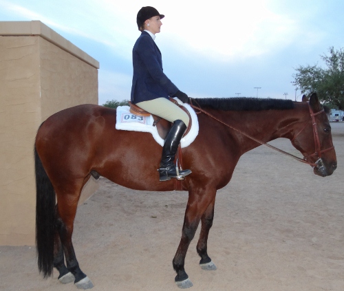 blue ribbon 10-6-12 068 500x423