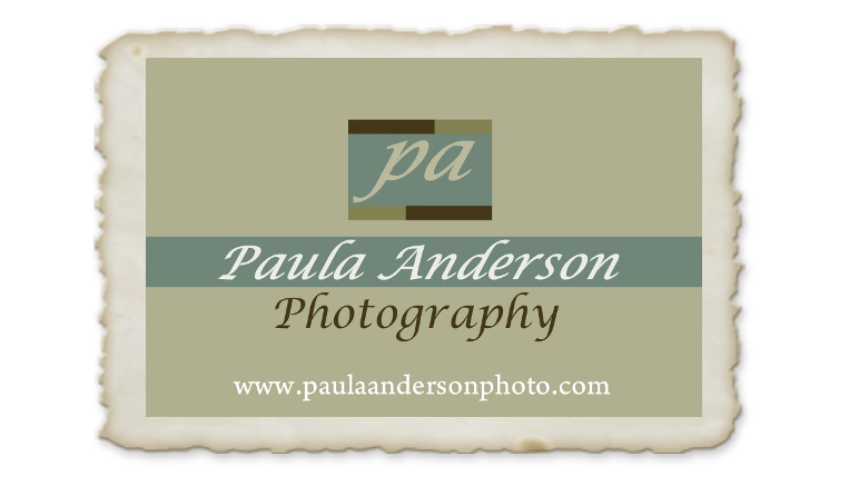 paulas card